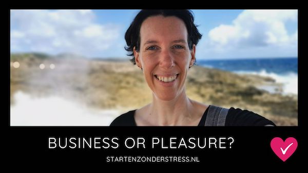 Business or Pleasure - BLOG