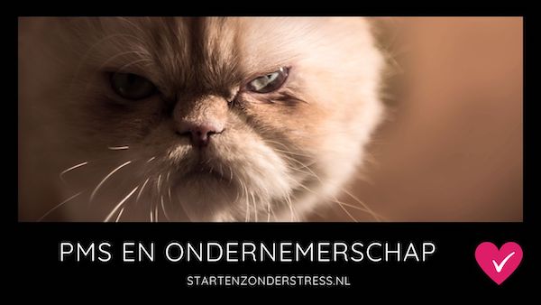 PMS en ondernemen - BLOG